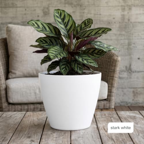 8" Vogue Planter in Stark White