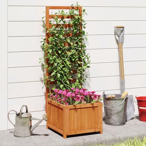 48" Raised Garden Bed with Trellis & Garden Box