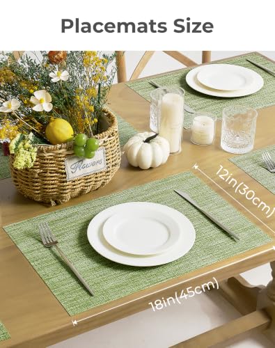 Bean Green Woven Placemats Set of 8 (8 Count)