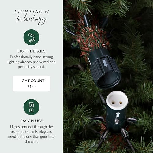 12 ft Pre Lit Classic Blue Spruce