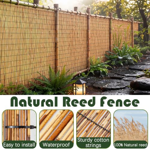 1 Pcs 4 x 10 ft Reed Fence Roller