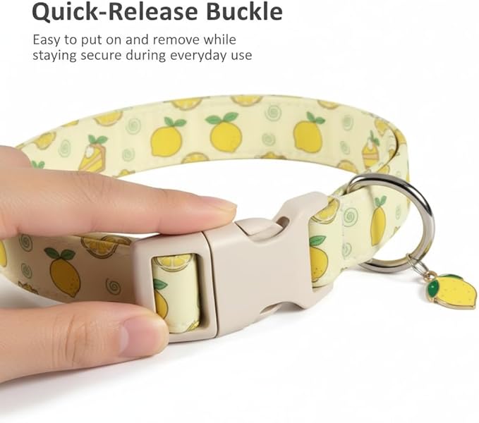 Dog Collar, Spring Summer Dog Collar with Yellow Lemon and Cute Charm, Pet Collar with Quick Release Buckle and Durable Fabric, Suitable for Small Dogs