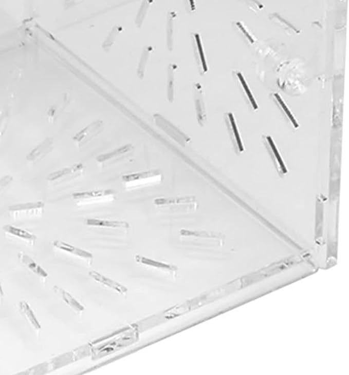 Acrylic Transparent Fish Tank, Breeding Isolation Box Aquarium Hatchery Incubator Holder with Screw Reinforcement, Convenient Use Comes with Isolation Board for Fish Breeding