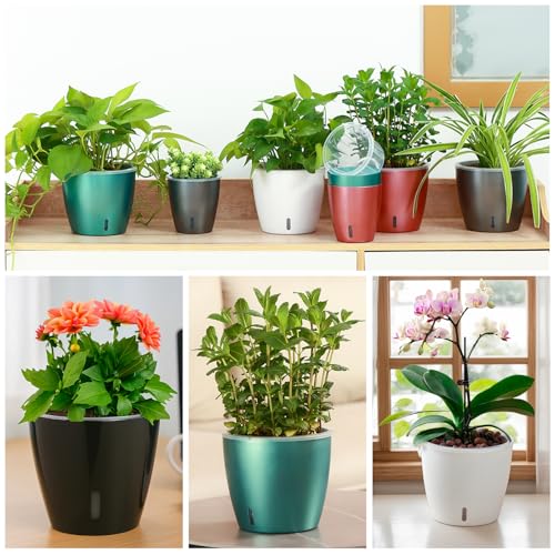 8 Pack 5 Inch Self Watering Pots (8 Count)