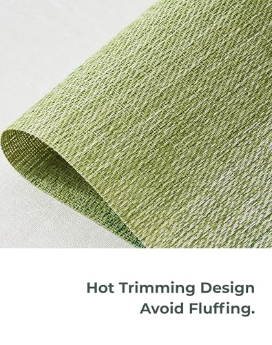 Gradient Green Woven Placemats Set of 12 (2.7 Count)