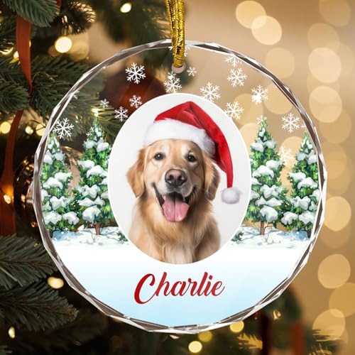 Personalized Pet Photo Ornaments Gifts for Christmas Dog Cat