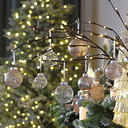 20 Pack Clear Christmas Ball Ornaments with Fillers (20 Count)