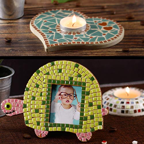 Beginners Mosaic Supplies (1000 Count)