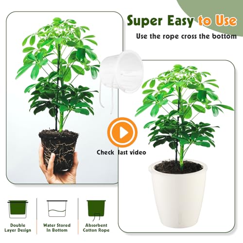 8 Pack 5 Inch Self Watering Pots (8 Count)