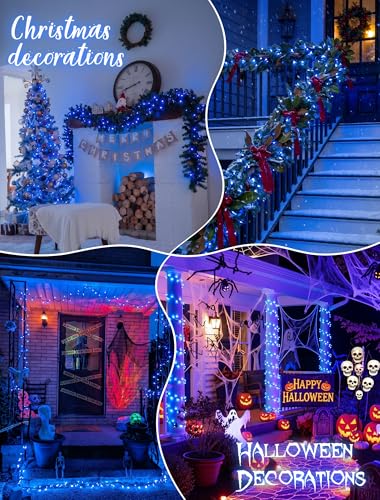 Blue Christmas Lights (13 Foot)