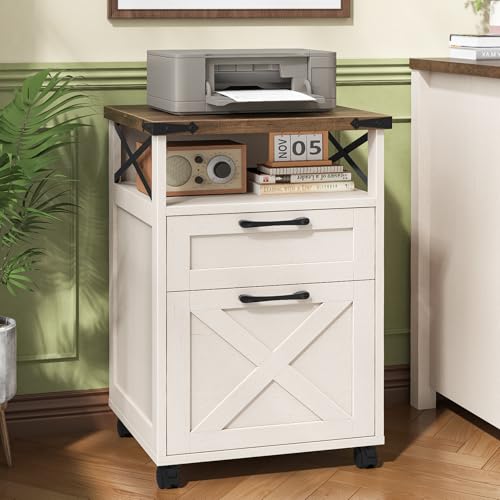 Office Filing Vertical Cabinet with 2 Drawers