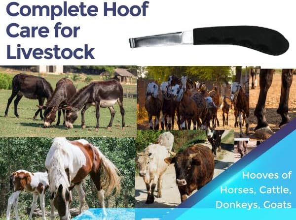 Regular Hoof Knife for Horses – Farrier Tool with Plastic Grip – Hoof Trimming Knife for Equine Care & Veterinary Use (Left Hand) (Regular-Blade - LH) (Regular Blade)