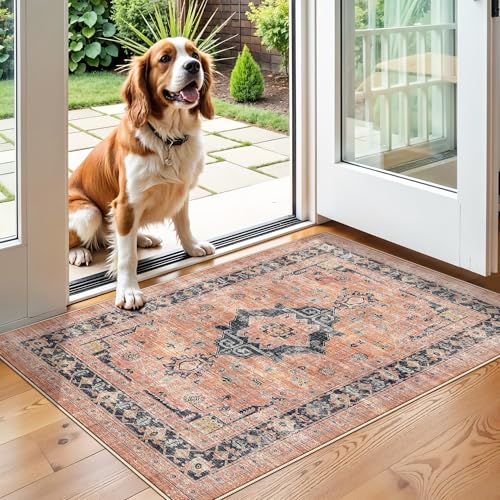 Washable 2x3 Small Area Rug (6 Sq Ft)
