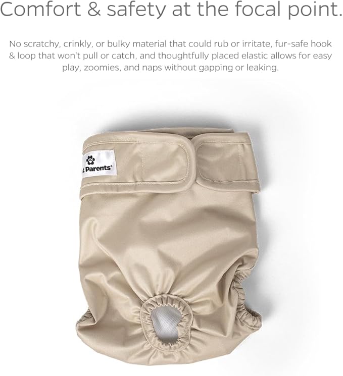 Pet Parents® Washable Dog Diapers (3pack) + Extendrs® of Durable Doggie Diapers, Premium Dog Diapers Female (X-Large, Spruce)