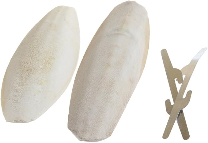 emours Natural Cuttlefish Bone for Reptiles, Tortoises, Snails, Birds and Small Animals, 4-5 inch, Twin Pack