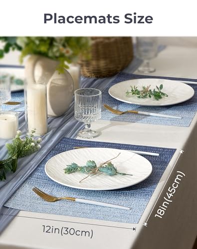 Gradient Blue Woven Placemats Set of 4 (3.2 Count)