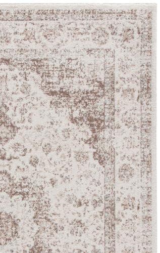 Evoke Area Rug 5'3"x7' (39.4 Sq Ft)