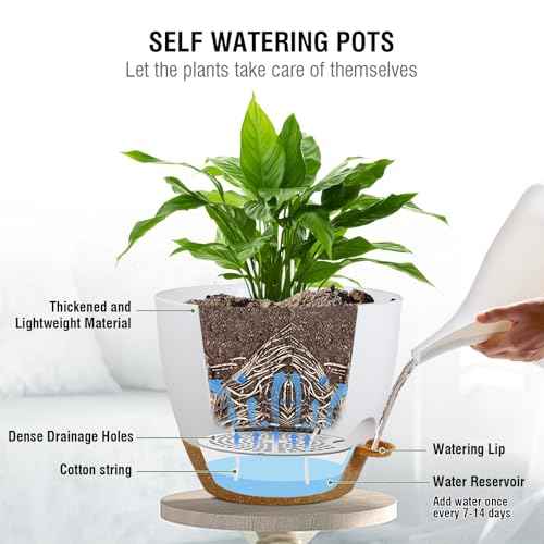 10 inch Self Watering Hanging Planters (2 Count)