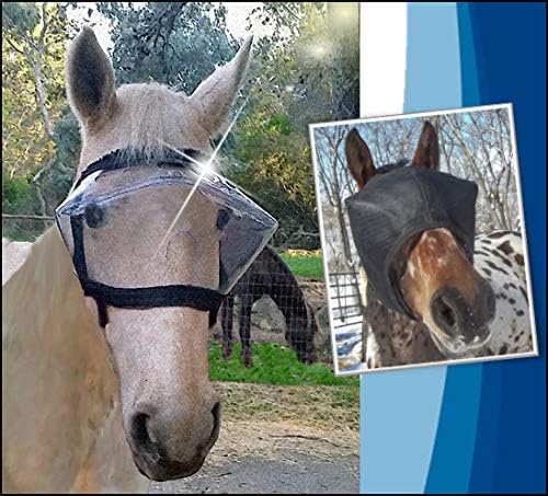 Recovery Vizor, (Size XL - Clear UV Tint) Medical and Preventative Horse Eye (Goggle) Protection Mask for Uveitis/Injury/Scratch or Corneal Ulcer, Infection, Blindness