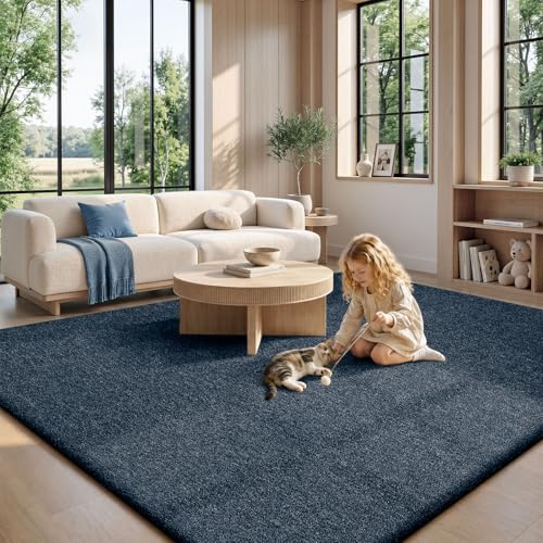 10x14 Area Rugs for Living Room Bedroom