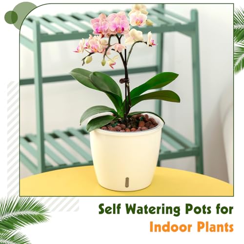 8 Pack 5 Inch Self Watering Pots (8 Count)