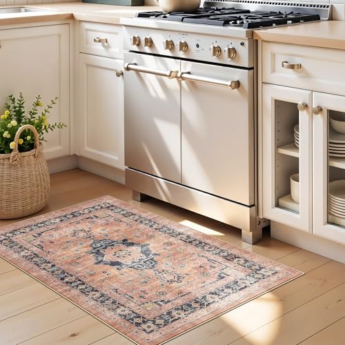 Washable 2x3 Small Area Rug (6 Sq Ft)