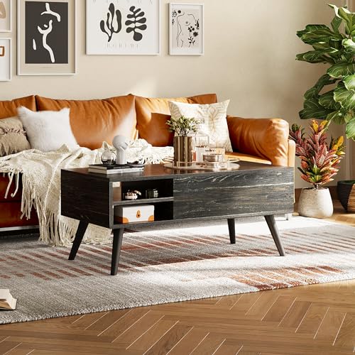 Lift Top Coffee Table with Hidden Storage