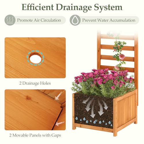 48" Raised Garden Bed with Trellis & Garden Box