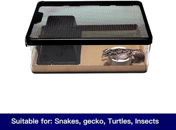 Reptile Feeding Box Clear Terrarium for Geckos, Frog, Lizards, Chameleons, Serpents, Scorpion, Snail, Insect, Hermit Crab, Isopods - 12.6x8.6x3.9inch