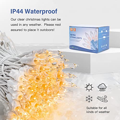 Clear Warm White Christmas Mini Lights (50 Count)