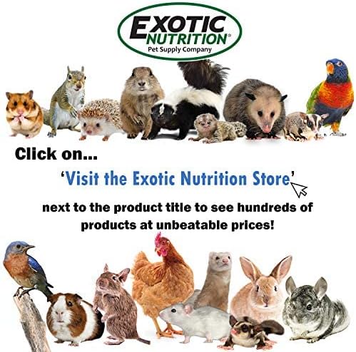 Exotic Nutrition Glider Essential 6 lb | Coconut Flavor | Zero Fillers