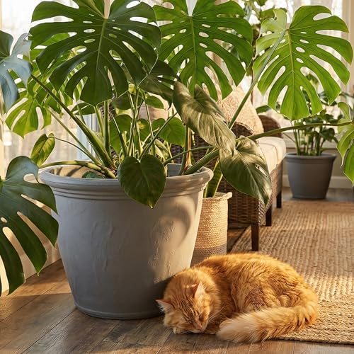 Sunnydaze Anjelica 20'' Large Plastic Planter Pot for Plants