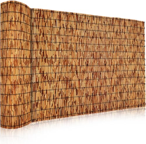 Natural Reed Fencing