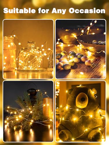 Fairy Lights Battery Operated 120 LED 40FT Remote String Lights Warm White