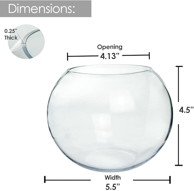 Craft And Party, Glass Bubble Bowl, 4.5" Height x 6" Width Glass Fish Bowl Vase, Bubble Bowl vase for Terrarium, Flower vase Centerpiece