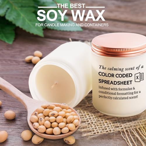 Funny Gift for Coworker Accountant (7 Ounce)