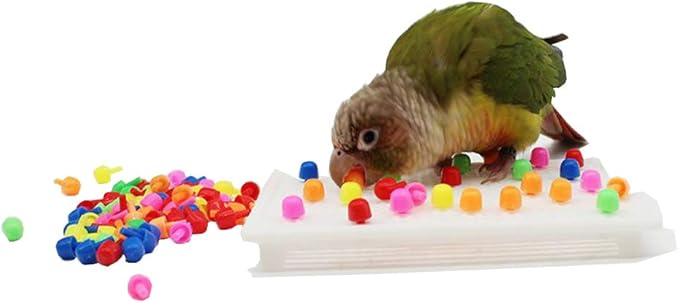 QBLEEV Parrot Puzzle Toys for Parakeets, Cockatiel & Conure - Bird Intelligence Training & Foraging Toys