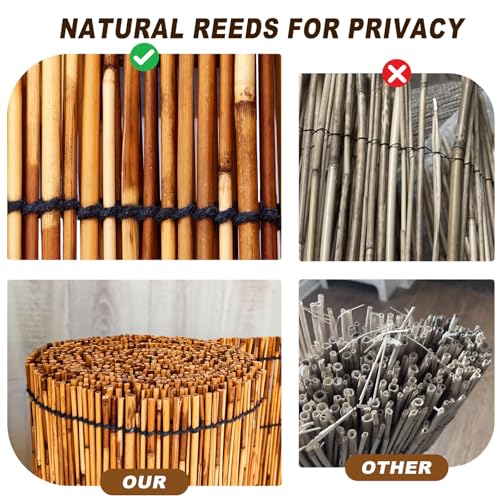 Reed Fencing Rolls (72 Sq Ft)