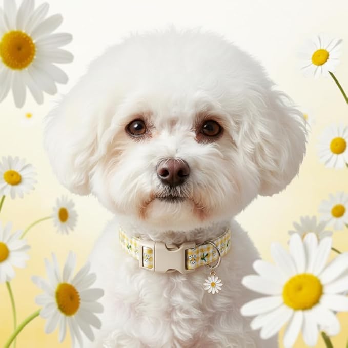 Cute Dog Collar, Yellow Plaid Dog Collar with White Floral Pattern, Spring Summer Design Floral Collar for Girls Boys Medium Dogs