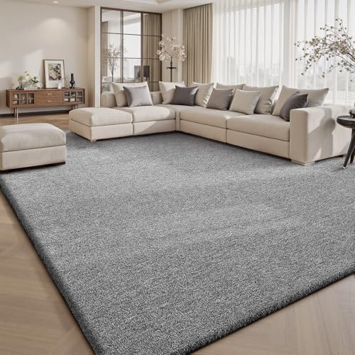 6x9 Area Rugs for Living Room Bedroom