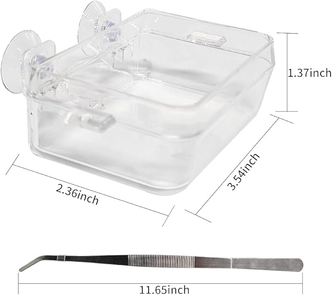 Chameleon Bowl and a Reptile Feeding Tongs 2pcs Feeder and Water Cups with Suction for Iguana Lizard Gecko Worm