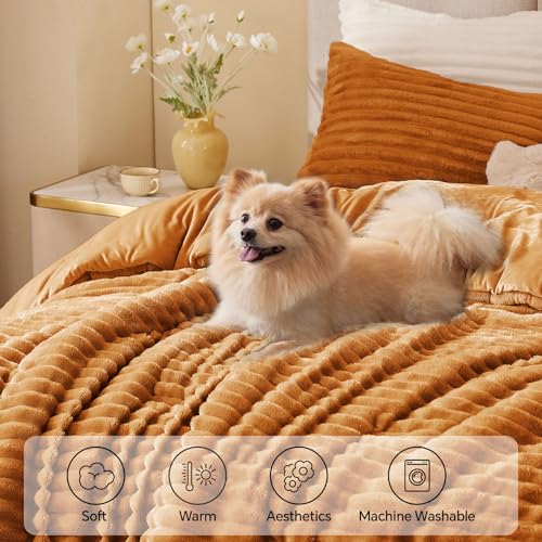 Fleece Queen Comforter Set