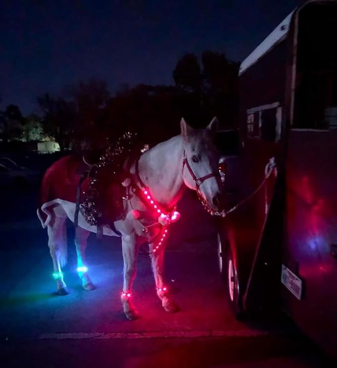 4pcs LED Horse Leg Band, 7 Colors in 1 Light up Horse Tack, USB Rechargeable LED Horse Light - Added Visibility & Safety for Night Horse Riding