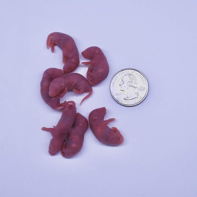 MiceDirect Frozen Mice Combo Pack of Small Pinkies & Pinkies Feeder Mice - Food for Corn Snakes, Ball Pythons, Lizards & Pet Reptiles-Freshest Snake Feed Supplies (0.5-1 in (Combo 100MSP & 50MLP))