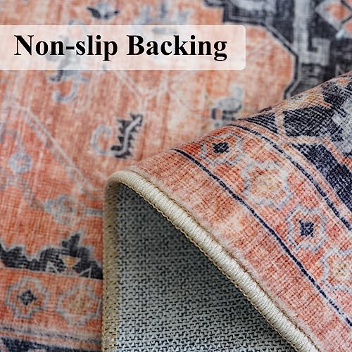 Washable 2x3 Small Area Rug (6 Sq Ft)