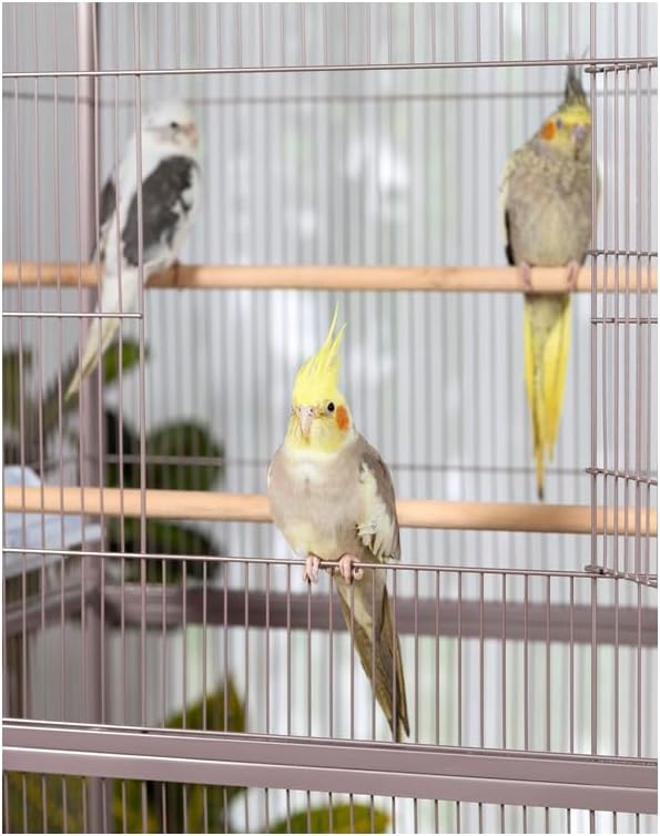 French Fabulous Iron Flight Cage with Elegant Ironwork, Spacious Interior, Durable Construction, and Ample Room for Birds to Fly, Play, Blush/53 H