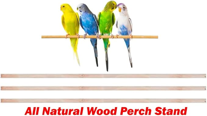 63" Roof Top Canary Parakeet Cockatiel Lovebird Finch Roof Top Bird Parrot Home Cage Side Nesting Box Doors with Removable Rolling Stand