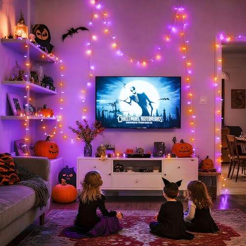 163 FT 500 LED Orange and Purple Halloween String Lights Indoor (163 Foot)