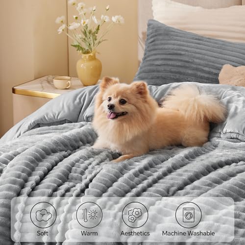Fleece Twin Twin XL Comforter Set