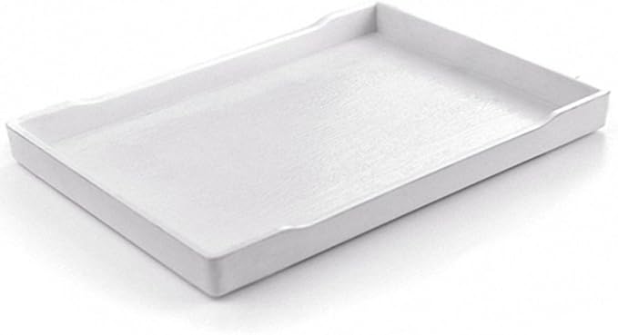 OMEM Reptile Bowl Large Food and Water Dish Enough Space Also Fit for Bath Simulated Wood Grain Surface (S, White)